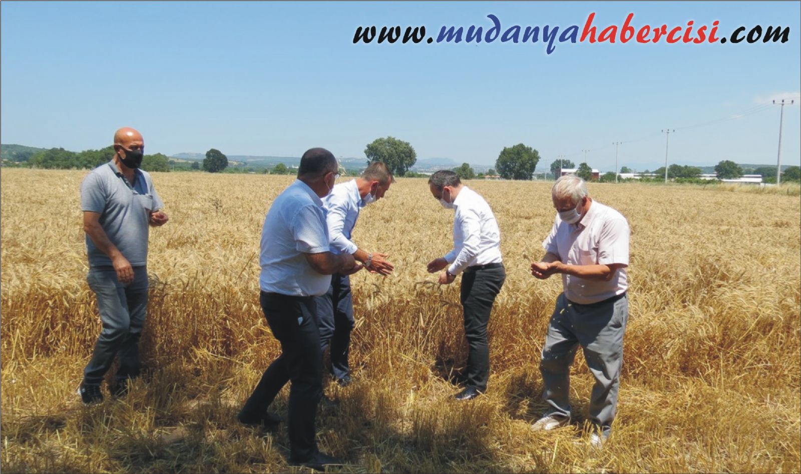 MUDANYA'DA HUBUBAT HASADI BALADI